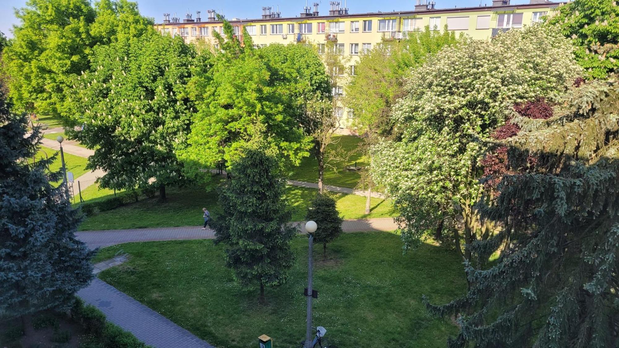 Dams Apartament Oświęcim  Eksteriør billede